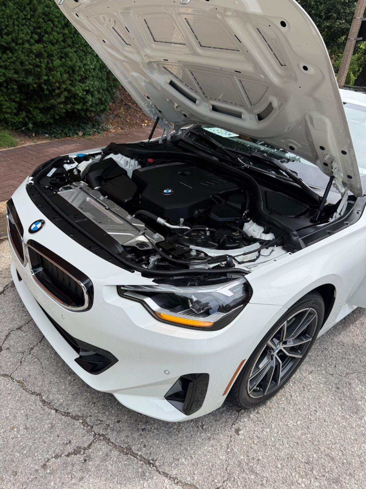 BMW Engine Bay